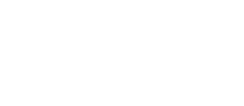 Omnifect professional